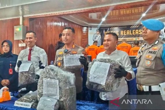 Polresta Padang Menggagalkan Peredaran 14 Kg Ganja, 3 Pelaku Ditangkap - JPNN.COM