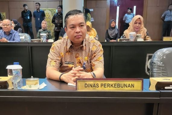 Harga TBS Kelapa Sawit di Riau Turun Lagi Jadi Sebegini - JPNN.COM