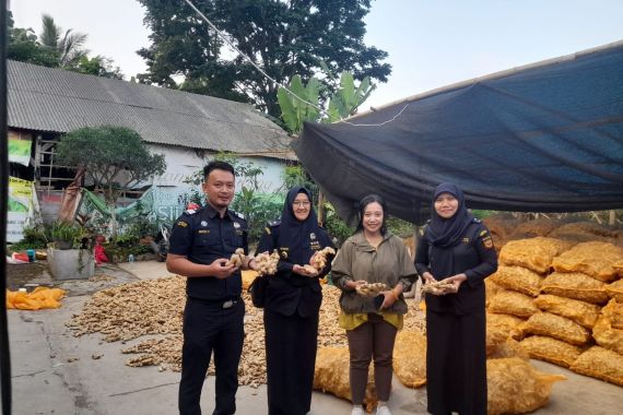 Bea Cukai Malang Kawal Ekspor Perdana 27 Ton Jahe Gajah ke Bangladesh - JPNN.COM