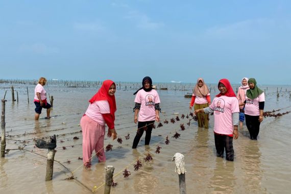 Srikandi Ganjar Adakan Pelatihan Budi Daya Rumput Laut di Lampung Selatan - JPNN.COM