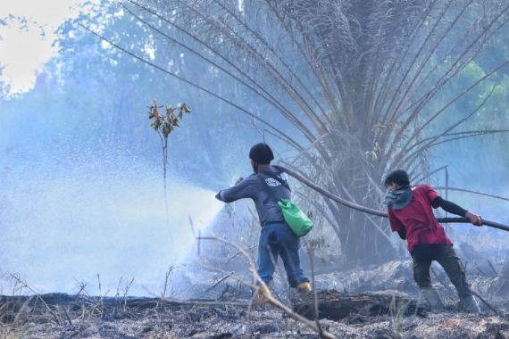 Cagar Biosfer di Riau yang Diakui UNESCO Sengaja Dibakar, BBKSDA Geram - JPNN.COM