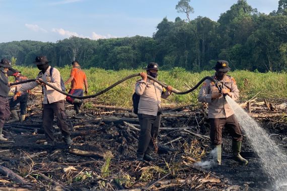 Beginilah Situasi Terkini Karhutla di Cagar Biosfer Giam Siak Kecil - JPNN.COM