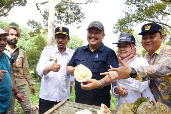 Mantap! 2 Daerah di Aceh Ini Surganya Durian Unggul Lokal - JPNN.COM