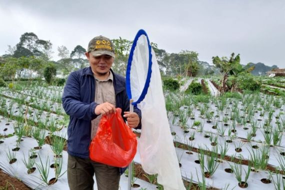 Kementan Inventarisasi Musuh Alami untuk Kelangsungan Ekosistem Pertanian - JPNN.COM