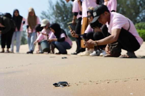 Srikandi Ganjar Melepas Tukik dan Bersih-Bersih Pantai di Sambas - JPNN.COM