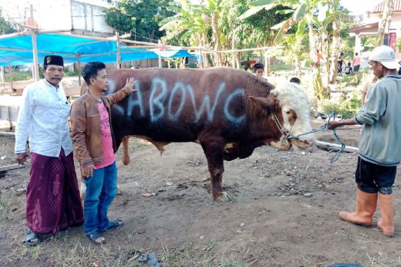 Iduladha 2023, Prabowo Salurkan Hewan Kurban ke Berbagai Ponpes di Jawa Timur - JPNN.COM