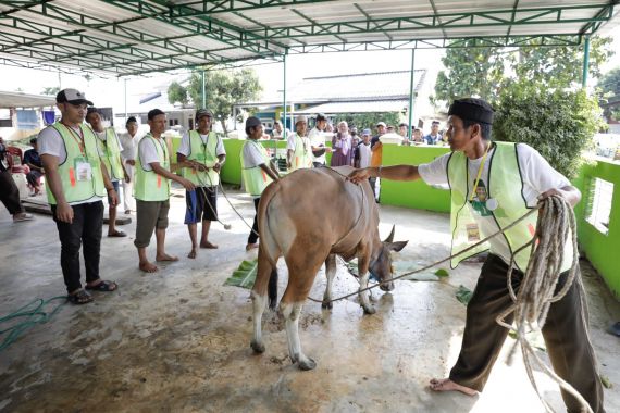 Wong Kito Ganjar Bagikan Hewan Kurban di 3 Titik Kota Palembang - JPNN.COM