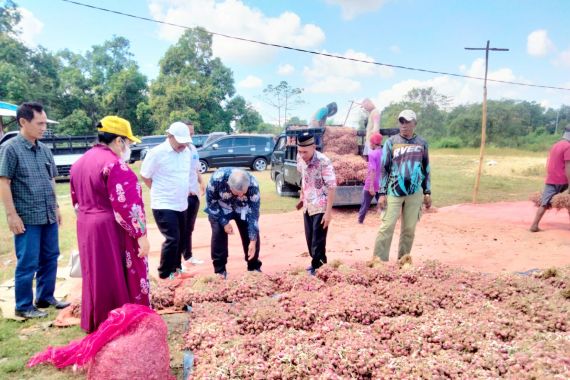 Dirjen Hortikultura Ungkap Faktor Utama Peningkatan Produksi Bawang Merah di Sumbawa - JPNN.COM