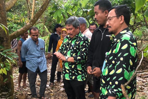 Dirjen Hortikultura Optimistis Durian Parigi Muotong Bakal Menembus Pasar Ekspor - JPNN.COM