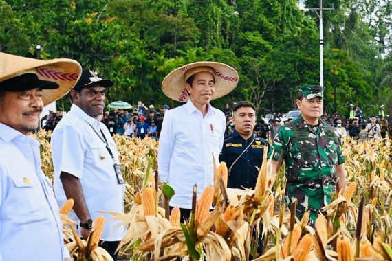 Bupati Keerom Apresiasi Tingginya Perhatian Kementan Terhadap Sektor Pertanian di Papua - JPNN.COM
