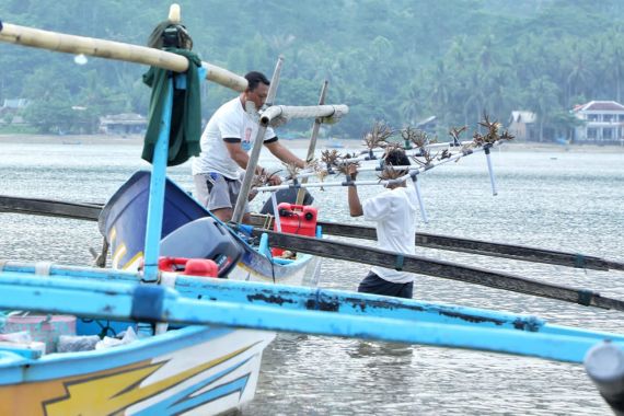 Sukarelawan Nelayan Ganjar Edukasi Ekosistem Terumbu Karang di Tanggamus - JPNN.COM
