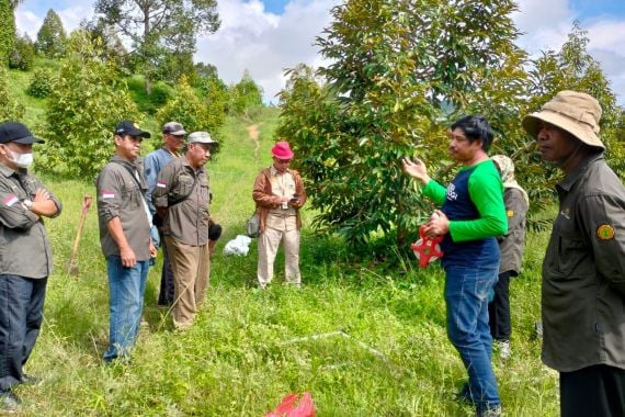 Ditjen Hortikultura Bersama IPB Bogor Ukur Kemampuan Durian Menyerap Stok Karbon - JPNN.COM