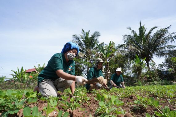 PT Vale Indonesia Wujudkan Dukungan Kemandiran Masyarakat lewat P3SRLB - JPNN.COM