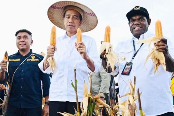 Billy Beber Perhatian dan Visi Besar Jokowi dalam 17 Kali Kunjungan ke Papua - JPNN.COM