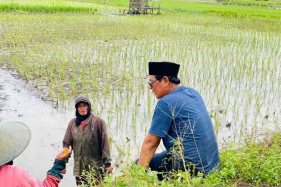 Panen Padi Kalsel Surplus, Siap Jadi Penyangga Pangan Nasional - JPNN.COM