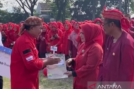 Daerah Ini Mengusulkan 1.000 Lebih Guru Honorer Diangkat menjadi PPPK - JPNN.COM