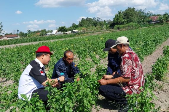 Begini Langkah Kementan untuk Hadapi El Nino - JPNN.COM