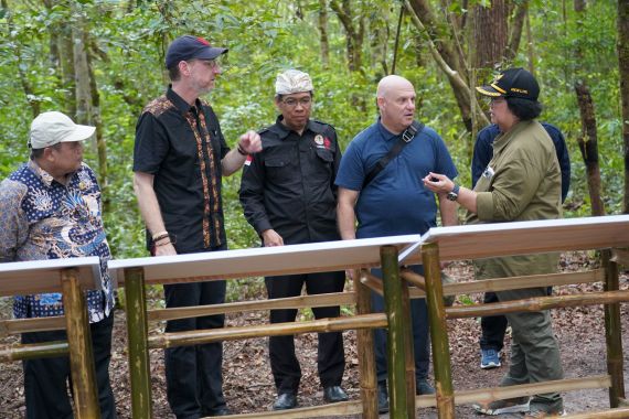 Menteri LHK Siti Nurbaya Ajak Delegasi USAID Melepasliarkan Orang Utan di TNTP - JPNN.COM