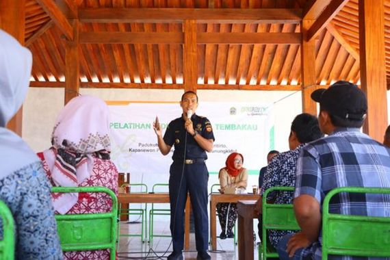 Bea Cukai Yogyakarta Bekali Petani Gunungkidul agar Bisa Tingkatkan Nilai Jual Tembakau - JPNN.COM
