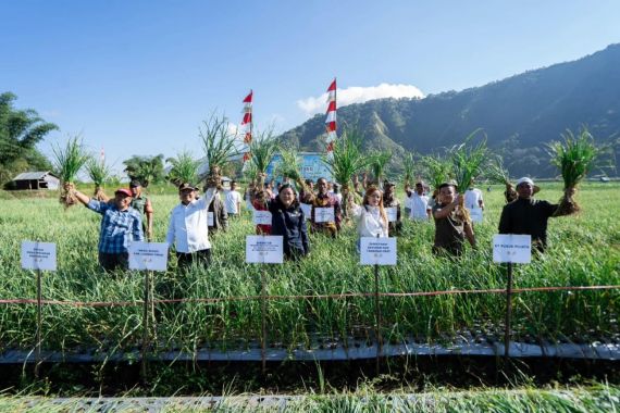 Strategi Jitu Kementan Jadikan Sembalun Sentra Penyediaan Benih Bawang Putih Nasional - JPNN.COM