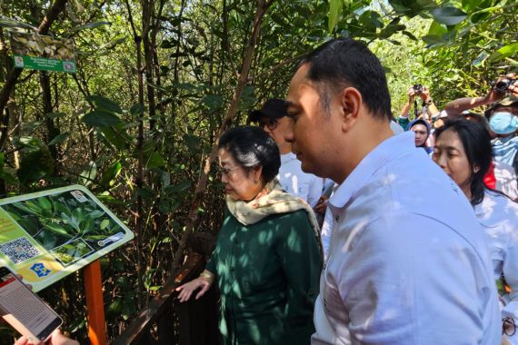 Disambut Gubernur Khofifah, Megawati Bakal Resmikan Kebun Raya Mangrove - JPNN.COM