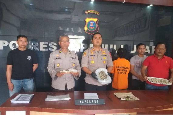 Polisi Bongkar Peredaran Narkoba Berkedok Warung di Taput - JPNN.COM