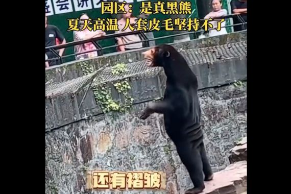 Ketahuan, Beruang Madu di Tiongkok Lebih Mirip Orang Pakai Kostum - JPNN.COM