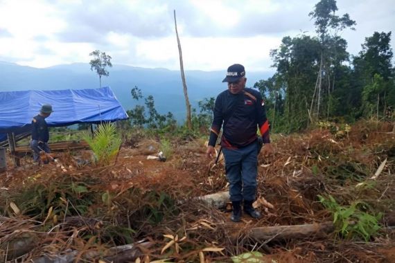 KLHK Tetapkan 2 Tersangka Kasus Perambahan Hutan di Luwu Timur Sulsel - JPNN.COM