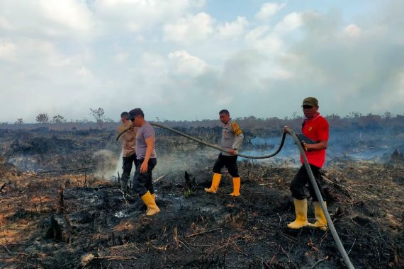Polisi Memburu Pelaku Pembakaran Hutan dan Lahan di Bangko Pusako Rohil - JPNN.COM