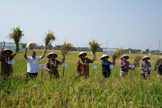 Wagub Jabar Apresiasi Kinerja Program CSA Kementan - JPNN.COM