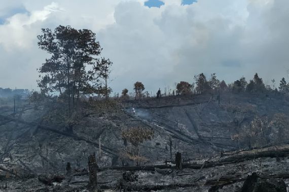 Diduga Merambah dan Bakar Hutan Lindung TNTN Riau, 2 Pria Ini Ditangkap Polisi - JPNN.COM