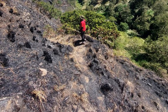 Polisi Ungkap Penyebab Kebakaran 140 Hektare Lahan di Gunung Rinjani - JPNN.COM