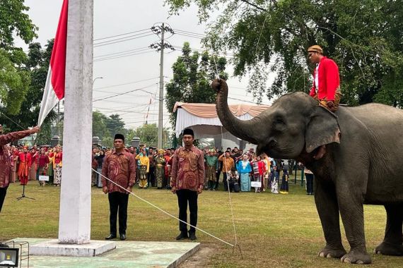 Luar Biasa! Gajah Jadi Pengibar Bendera Merah Putih di Riau, Lihat - JPNN.COM