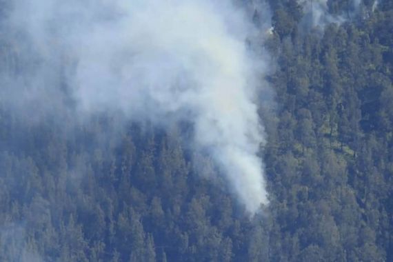 Kawasan Taman Nasional Bromo Tengger Semeru Terbakar - JPNN.COM