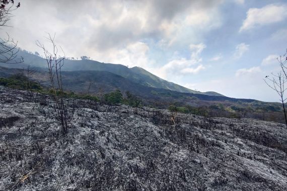 Lereng Gunung Arjuno Terbakar, Beginilah Kondisinya - JPNN.COM