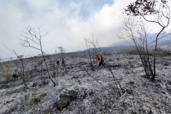 Ada Kebakaran Hutan, Pendakian Gunung Arjuno Ditutup - JPNN.COM