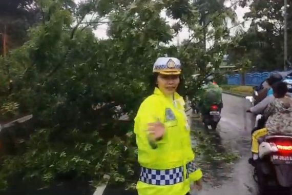 Cuaca Ekstrem di Pekanbaru Akibatkan Pohon Tumbang, Polwan Ini Langsung Turun Tangan - JPNN.COM