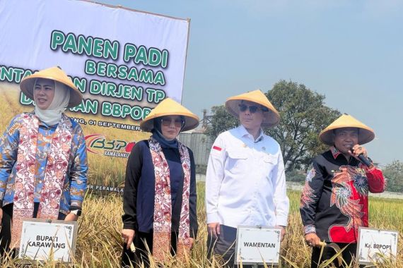 Turun Langsung Cek Kondisi Pertanian di Karawang, Wamentan: Alhamdulillah - JPNN.COM