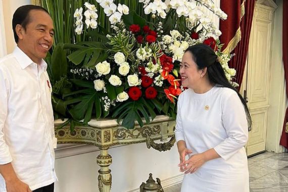 Puan Maharani Melaporkan Hasil Pertemuannya dengan Jokowi, Seru Banget - JPNN.COM