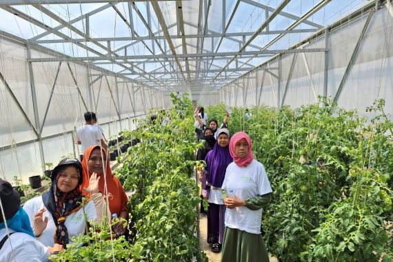 Nasabah PNM Mekaar Studi Banding Budi Daya Tanaman Hortikultura - JPNN.COM