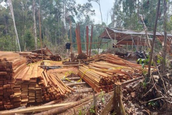Kasus Illegal Logging di Pulau Tengah Karimunjawa Diduga Libatkan Petinggi Polri - JPNN.COM