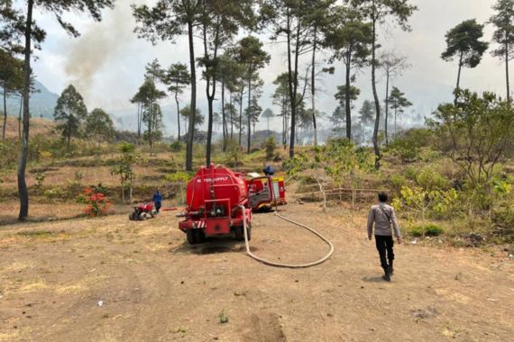 Polisi Bergerak, Pembakar Hutan Gunung Guntur Siap-Siap Saja - JPNN.COM
