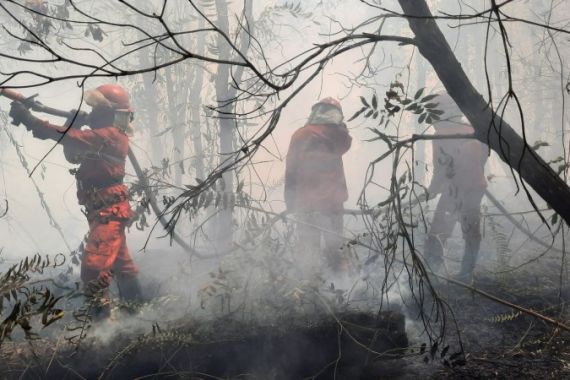 4.082,8 Hektare Lahan dan Hutan di Sumsel Terbakar - JPNN.COM