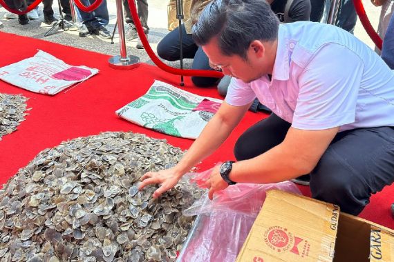 Tenggiling Dibunuh di Padang Sidempuan, 41 Kg Sisiknya Dijual ke Pekanbaru - JPNN.COM