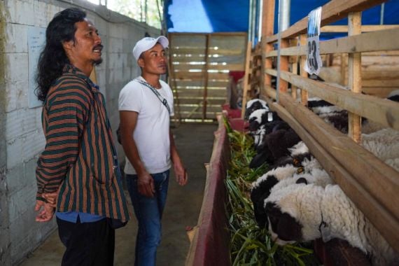 Petani Pesta Panen di Banjarnegara, Program UPLAND Dianggap Berhasil - JPNN.COM