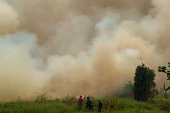 Karhutla Ini Terjadi Tapin Kalsel, Penyebabnya Sedang Diusut Polisi - JPNN.COM