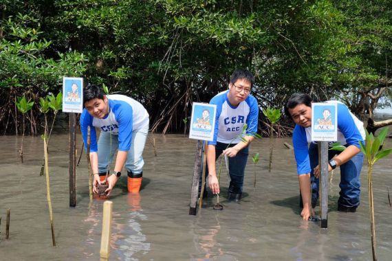 Jaga Lingkungan di Pesisir Batam, ACC Tanam 1.000 Pohon Mangrove - JPNN.COM