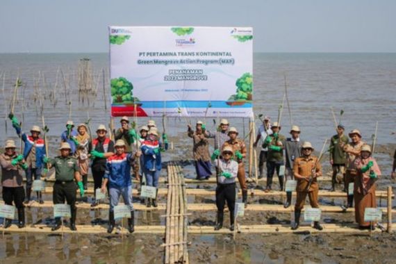 Pertamina Trans Kontinental Gelar Green Mangrove Action Program di Makassar - JPNN.COM