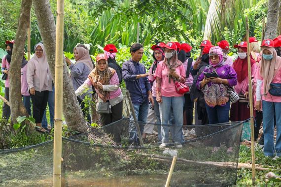 Srikandi Ganjar Sumsel Berikan Materi Budi Daya Lele untuk Perempuan - JPNN.COM