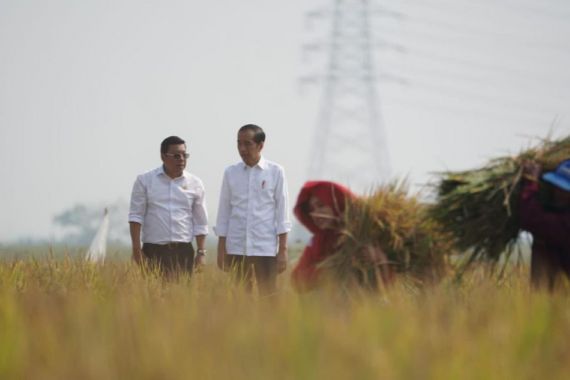 Plt Mentan Langsung Bergerak, Mendampingi Presiden Panen Raya di Sukamandi - JPNN.COM